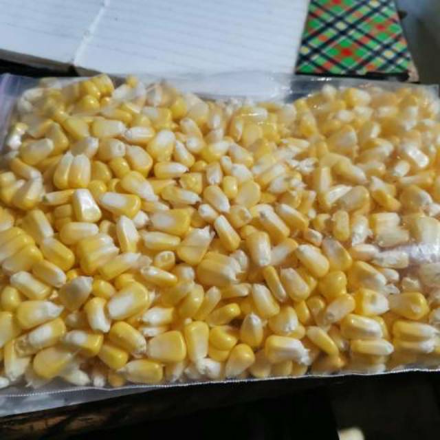 JAGUNG MANIS PIPIL JASUKE