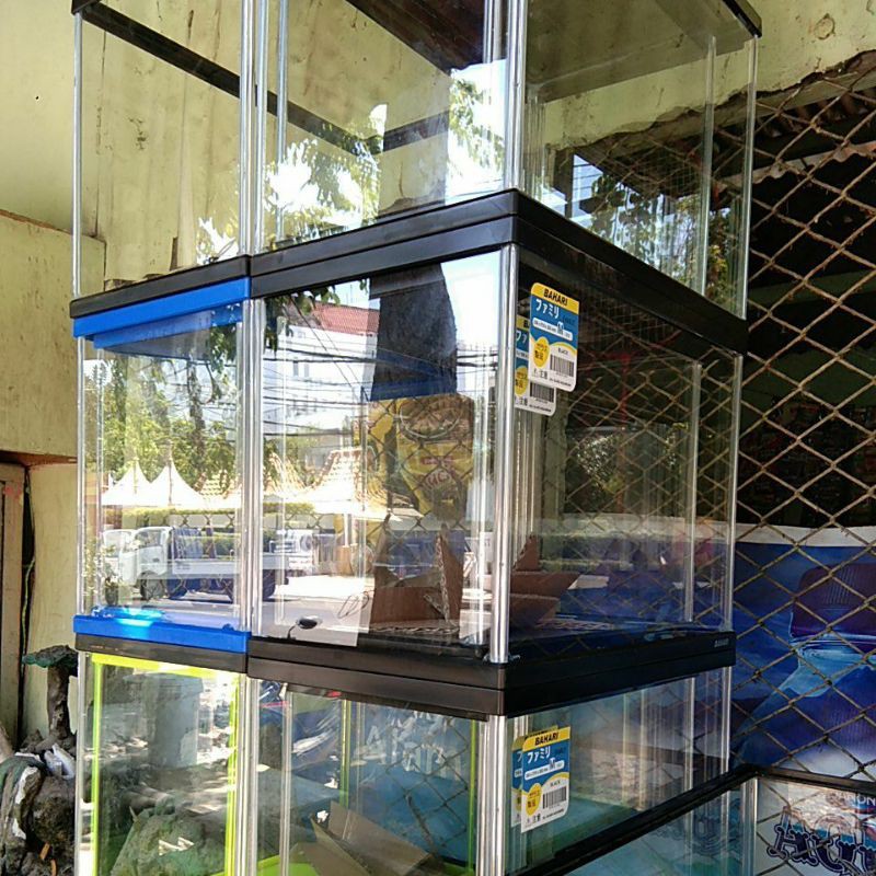 aquarium Bahari L blue dan black
