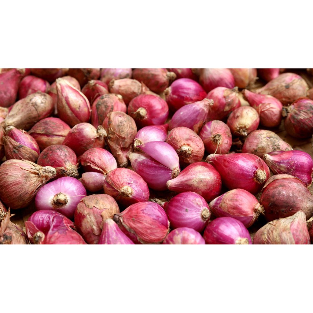 Bawang Merah 250g - 1kg | Red Onion 250g - 1KG