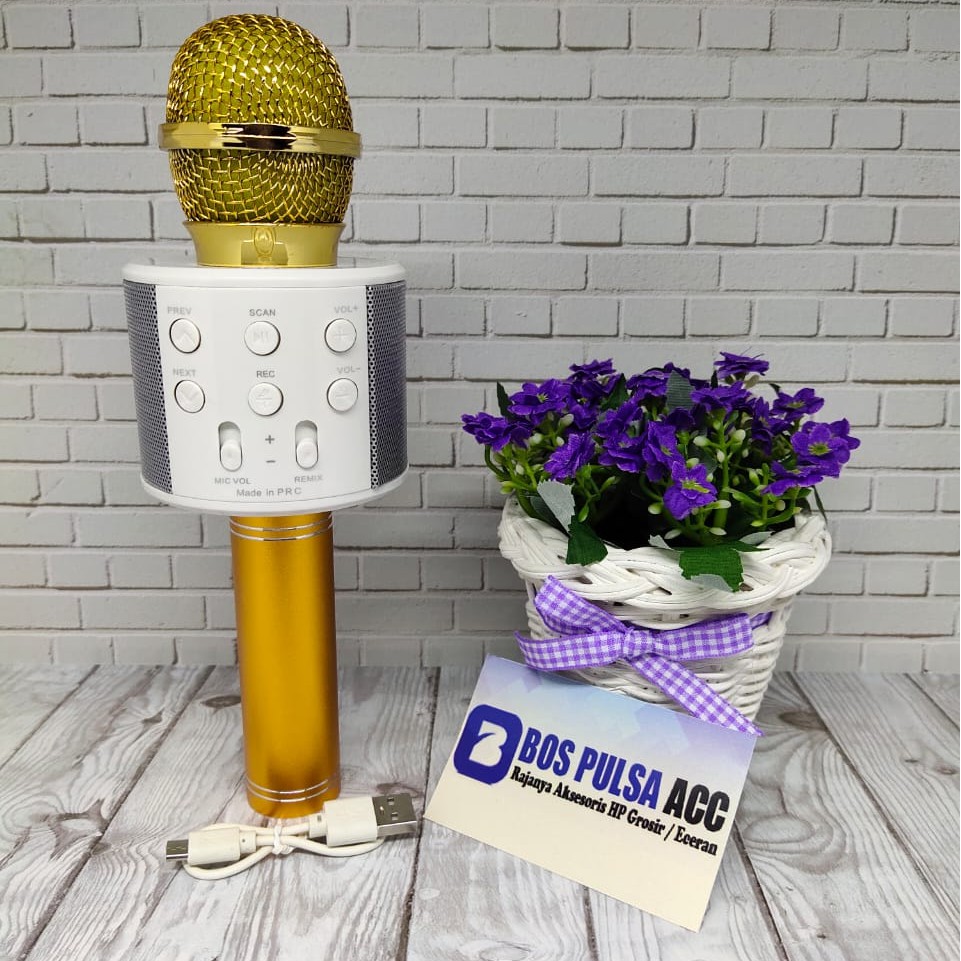 Mic Karaoke Mikrofon Wireless Bluetooth WSTER WS 858 WS-858 Mic Smule.