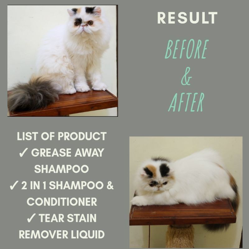 Grooming set , paket shampoo dan pembersih muka kucing lengkap murah