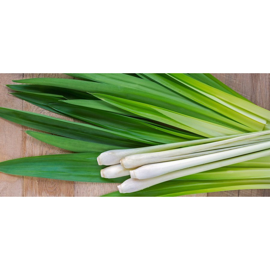 Sereh / Lemon Grass  100gr