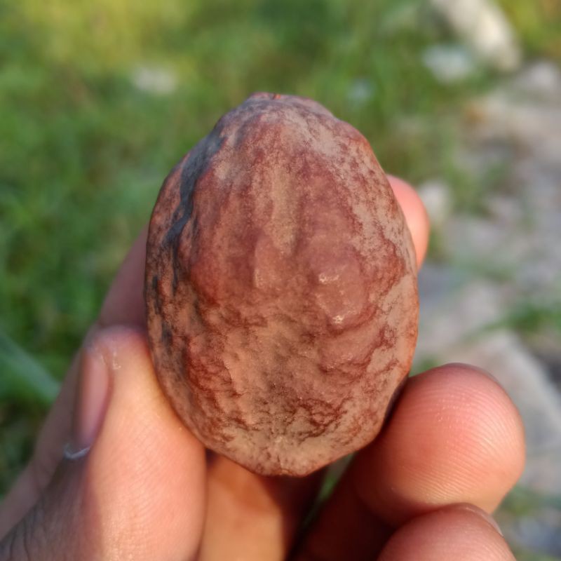 HARGA SPESIAL | JAYANTI MILENIAL ORI