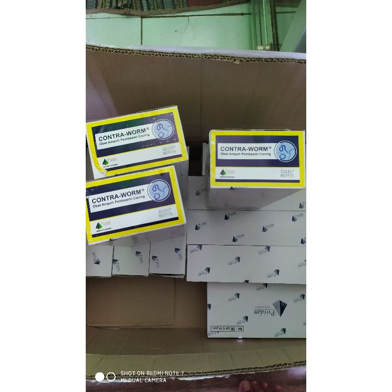 Obat cacing contra worm