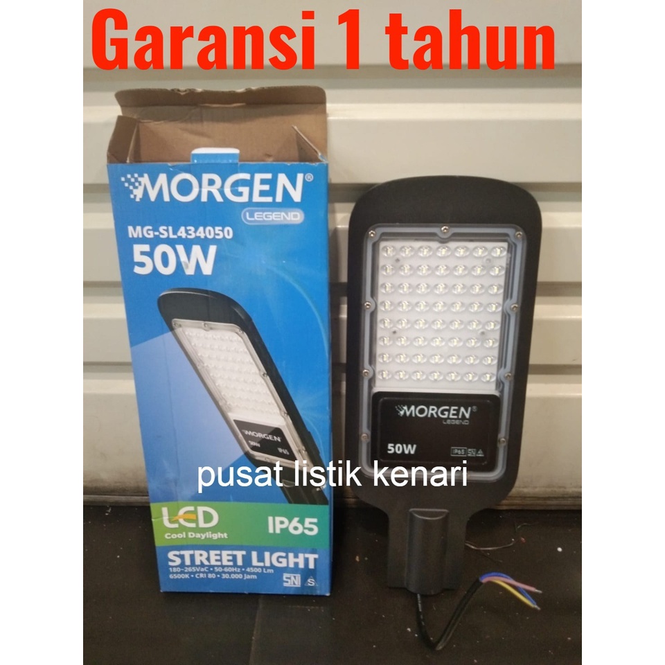 Jual Lampu Pju Watt Watt Led Morgen Lampu Jalan W W Ip Shopee Indonesia