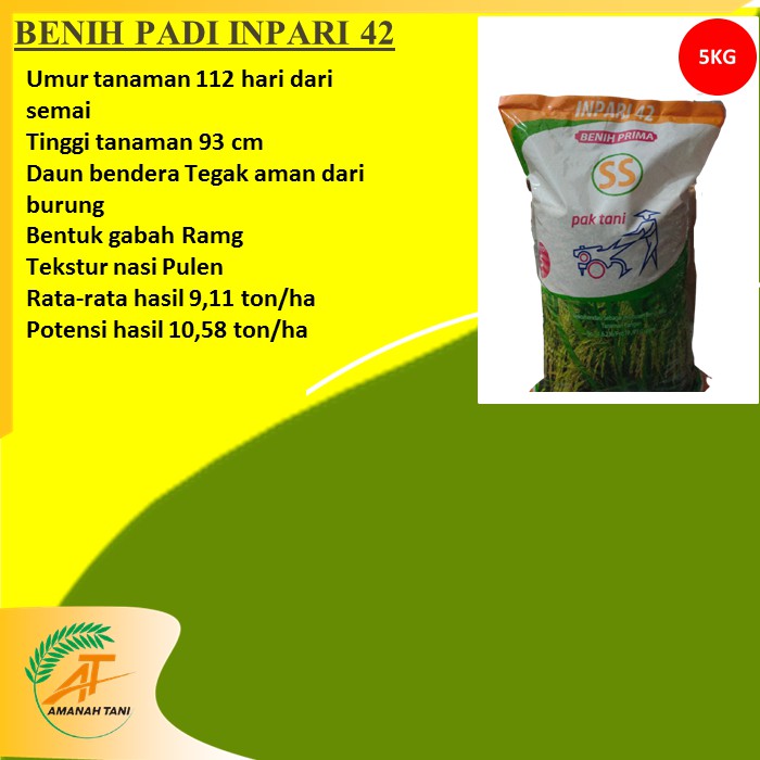 BENIH PADI INPARI 42