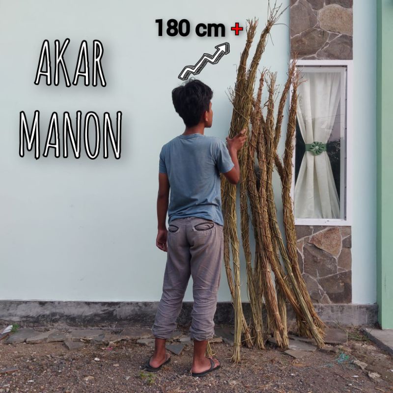 Akar manon, dekorasi, ring, rustik, rustic, bunga kering.hata.rotan.lidi.mentau