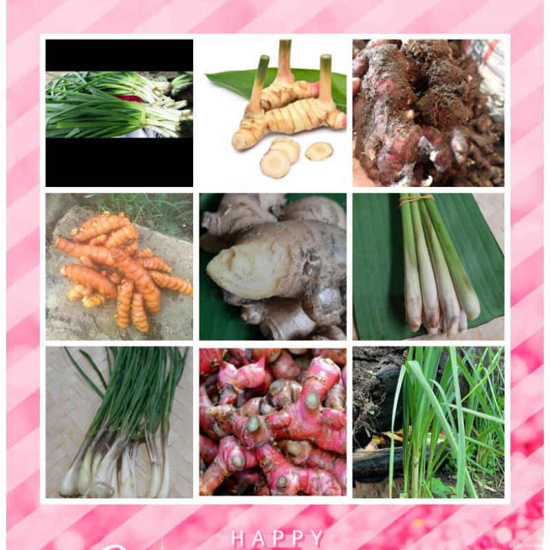 

Paket Rempah Bumbu Dapur