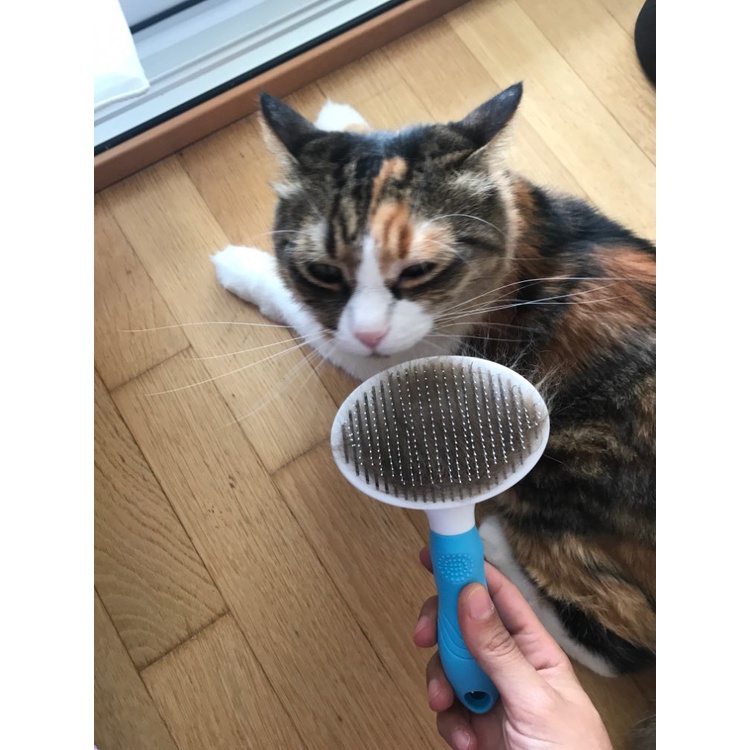 ★Otomatis★ Sisir Grooming Kucing Anjing/Sisir Bulu Anjing/Pet Hair Brush/Hewan Sheeding Brush