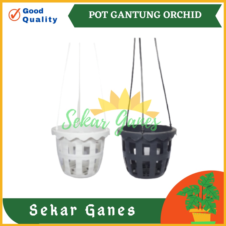 Pot Gantung Anggrek Orchid 10cm Putih Hitam Pot Anggrek Murah Bkn Pot Anggrek Gantung NKT Putih 14