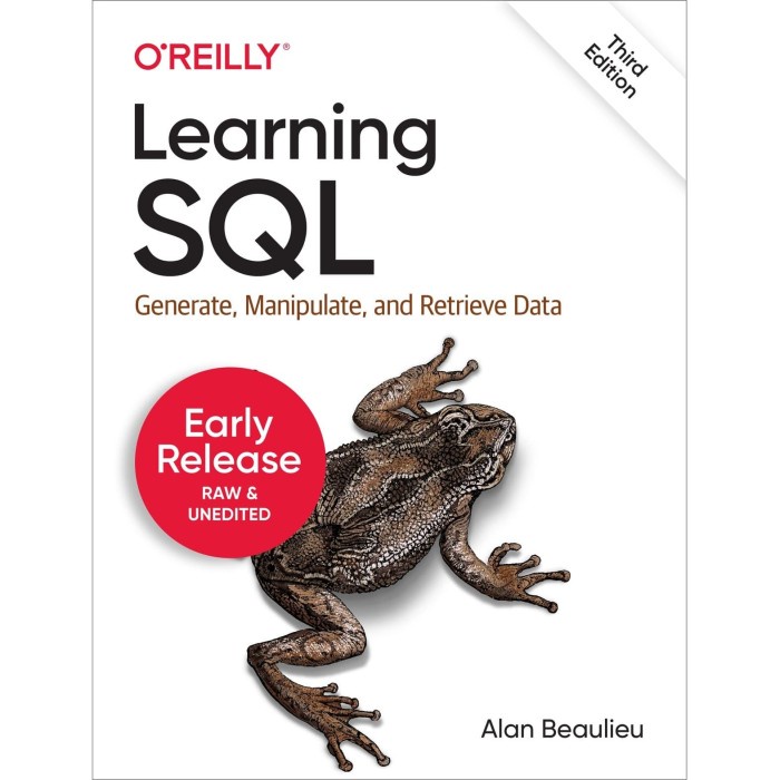 

database-buku- learning sql: master sql fundamentals-alan beaulieu -buku-database.