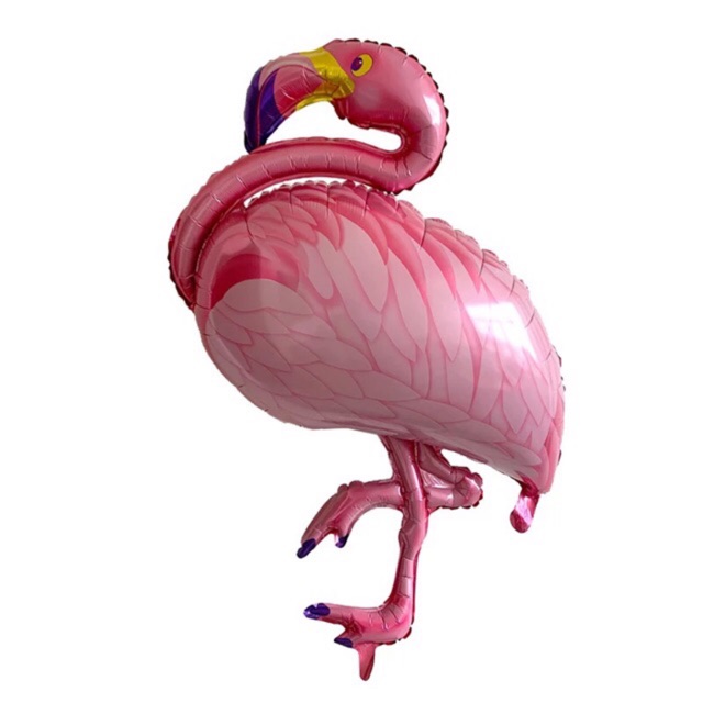 76+ Gambar Burung Flamingo Kartun HD