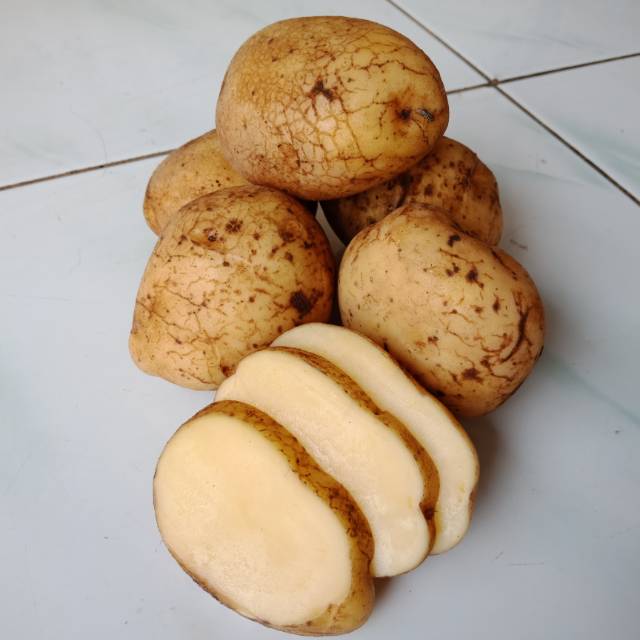 

Kentang Potato 1 kg dan 500 gram Dieng Banjarnegara kuning ukuran campur besar sedang