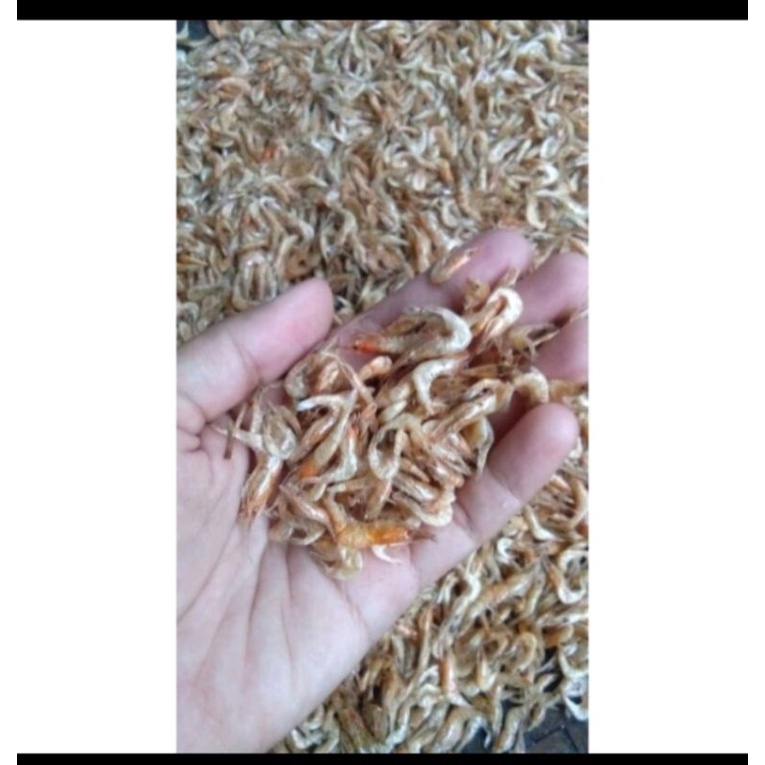 udang kering tawar