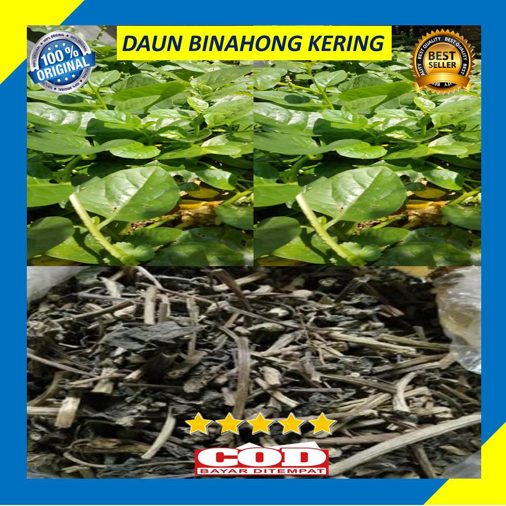 Daun Binahong Kering 100 Gram