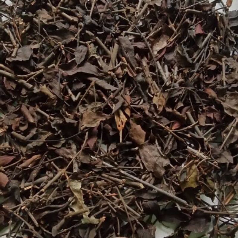 

Benalu kopi kering Obat herbal 100% Asli