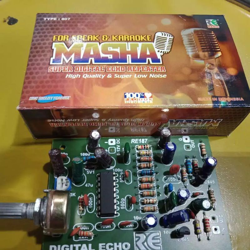 Kit Digital Echo Repeater MASHA