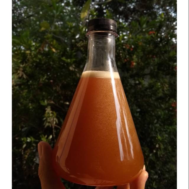 

Madu Hutan Asli Konawe