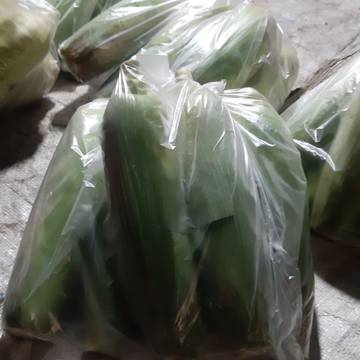 

Jagung 1 plastik isi 7 pcs