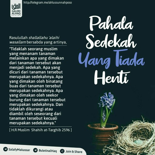 Kenmaster Kran Aqua Pencet Merah