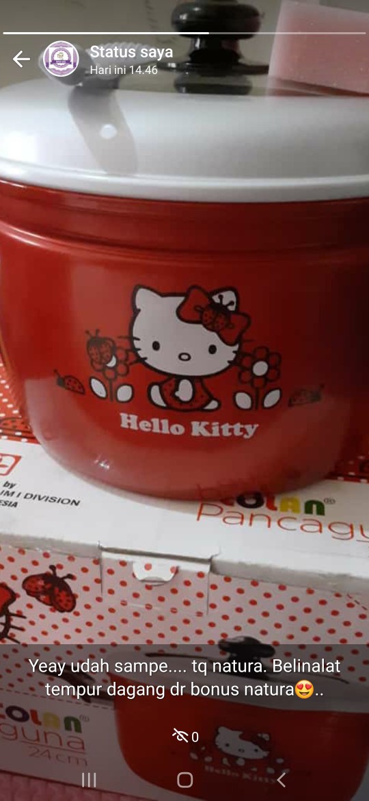 Panci Steamer Rice Cooker Uk 24/pancaguna Maspion /panci Hello Kitty