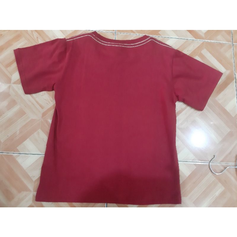 Kaos anak Little M Zoo Fun Maroon