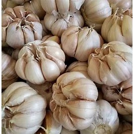 

Bawang Honan / Banci 250 gram