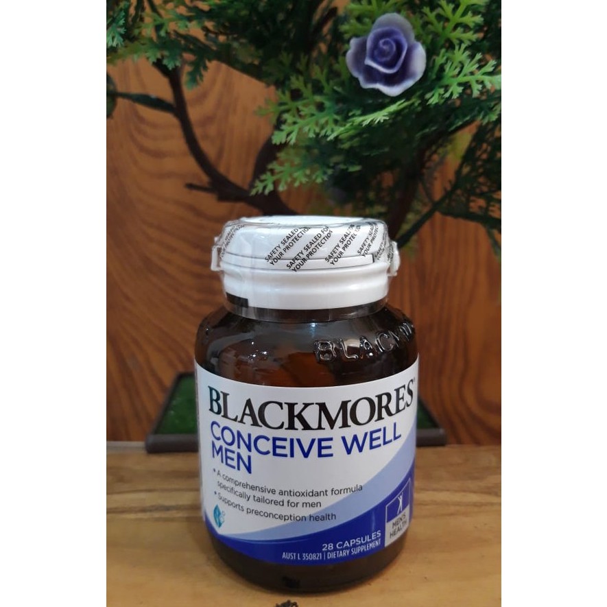 Blackmores Conceive Well Men 28caps