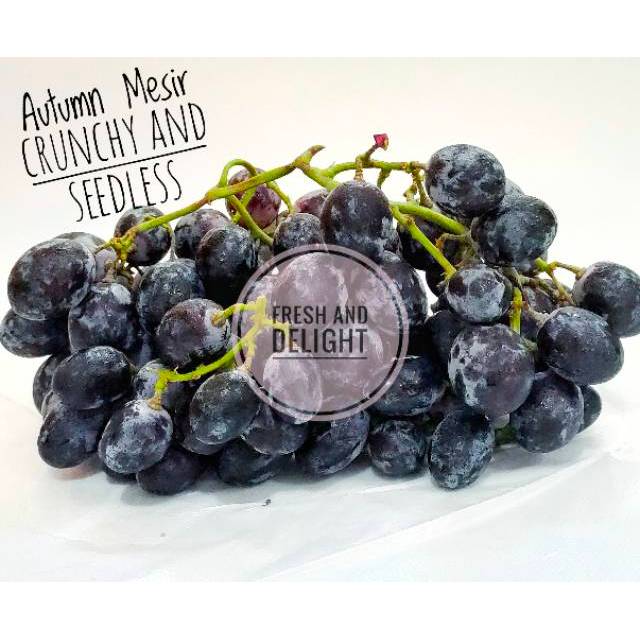 

Anggur Autum Black seedless Import