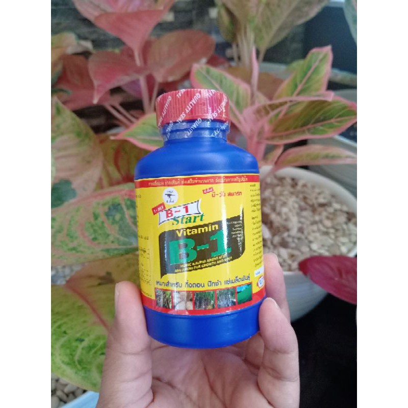 Vitamin B1 Thailand (T-Rex) untuk anggrek dan bunga lain 100 ml