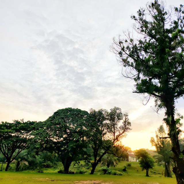 elfadesmawanti