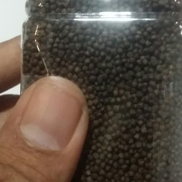 Makanan pelet anak kura anak ikan