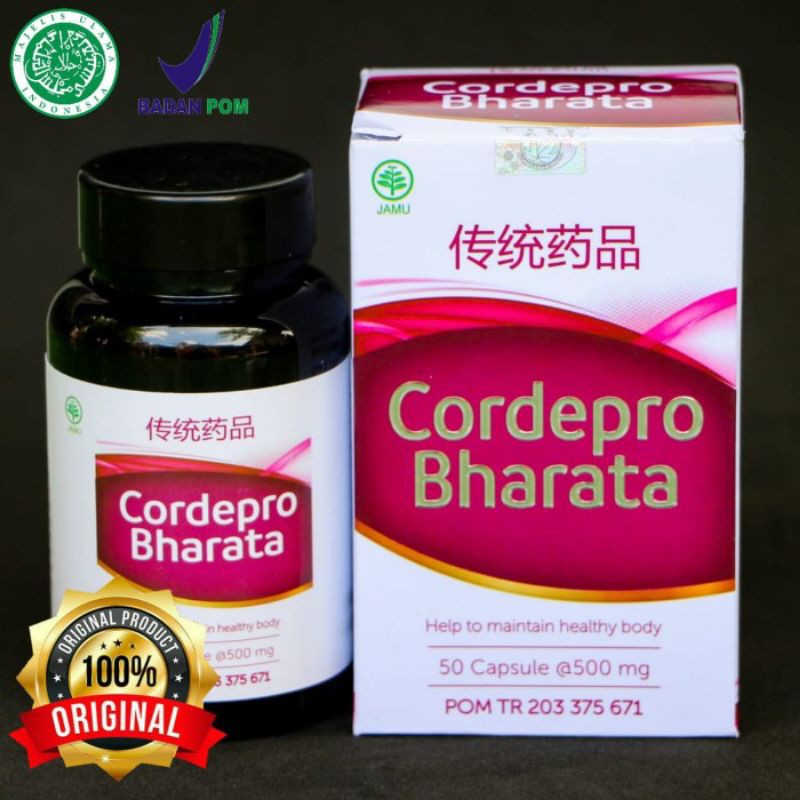 

OBAT PARU-PARU _ PARU-BASAH _ TBC _ BRONKITIS _ ASMA _ PALING AMPUH