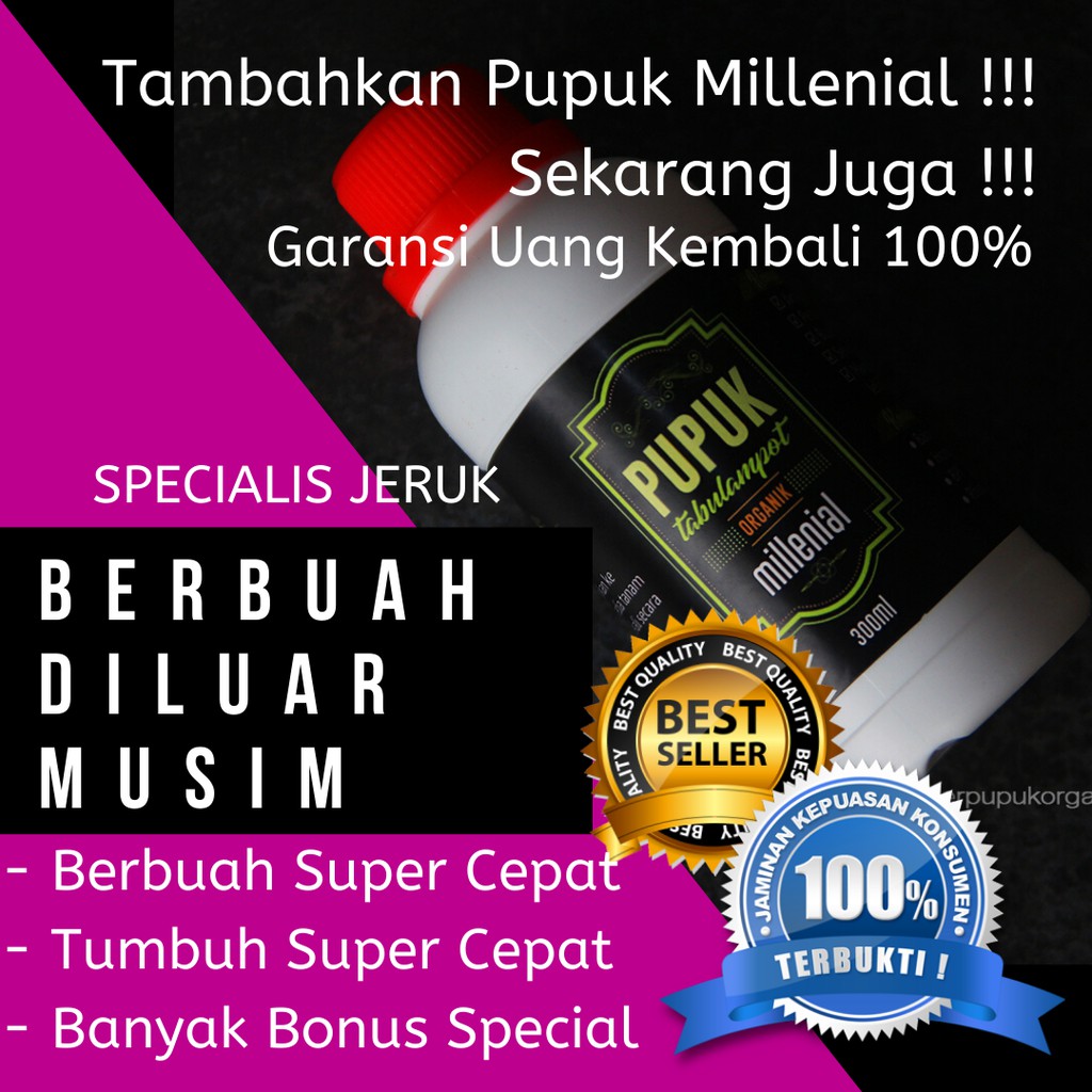 Pupuk Jeruk Manis Pupuk Jeruk Purut Pupuk Jeruk Limau Pupuk Jeruk Lemon Pupuk Jeruk Santang