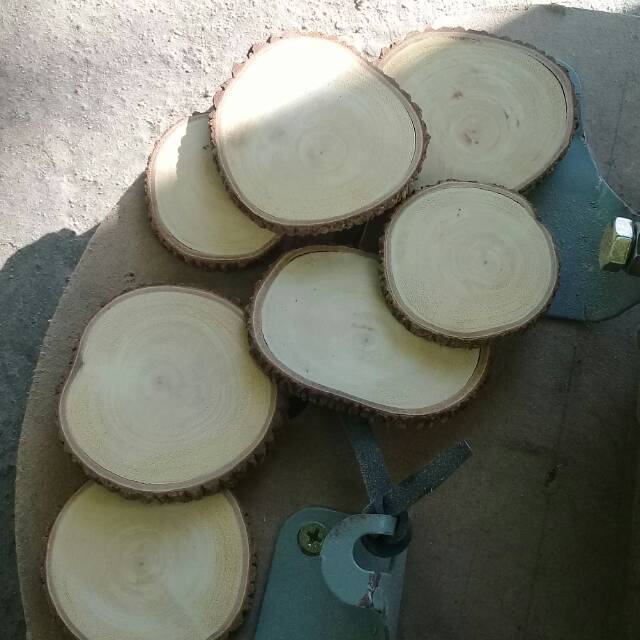 Wood slice/kayu bulat