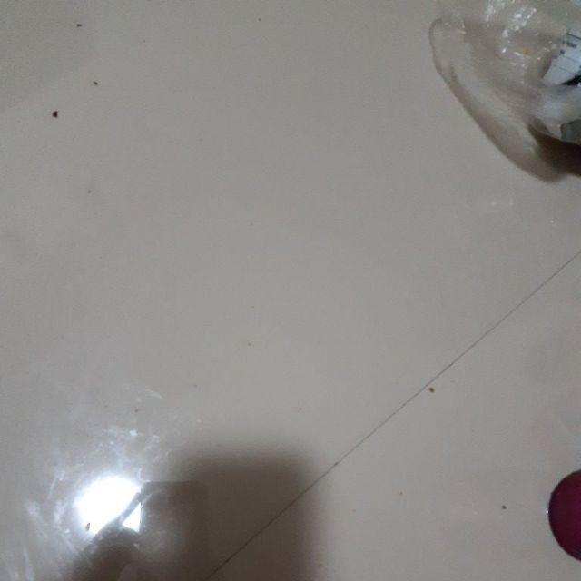 Risna Batik Hrb026 Kenongo Hem Pendek Padi Pekalongan M L Xl Batik Pria Murah Modern