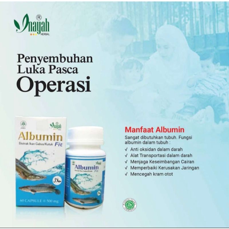 ALBUMIN FIT EKSTRA IKAN GABUS