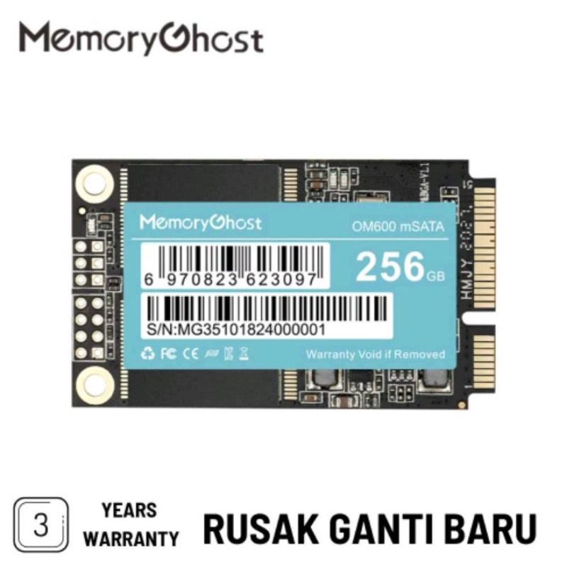 Memory Ghost mSATA SSD 256GB