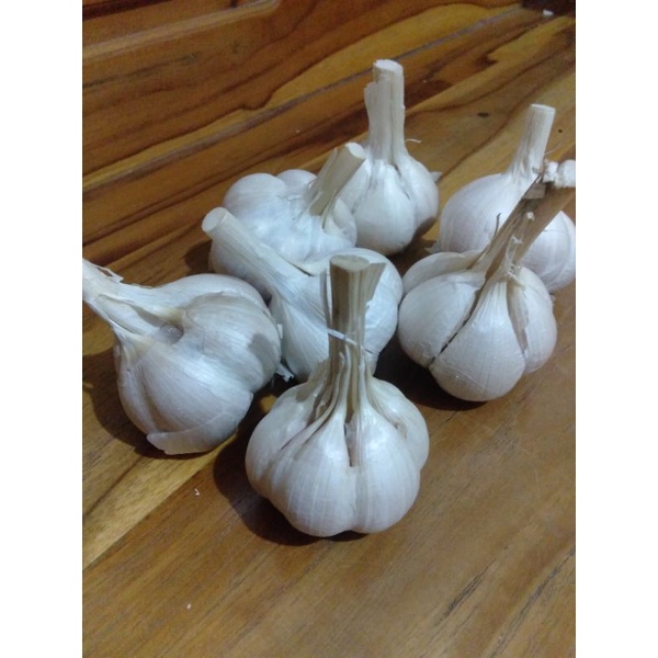 

bawang putih kating bersih,besar,kering,harga terjangkau