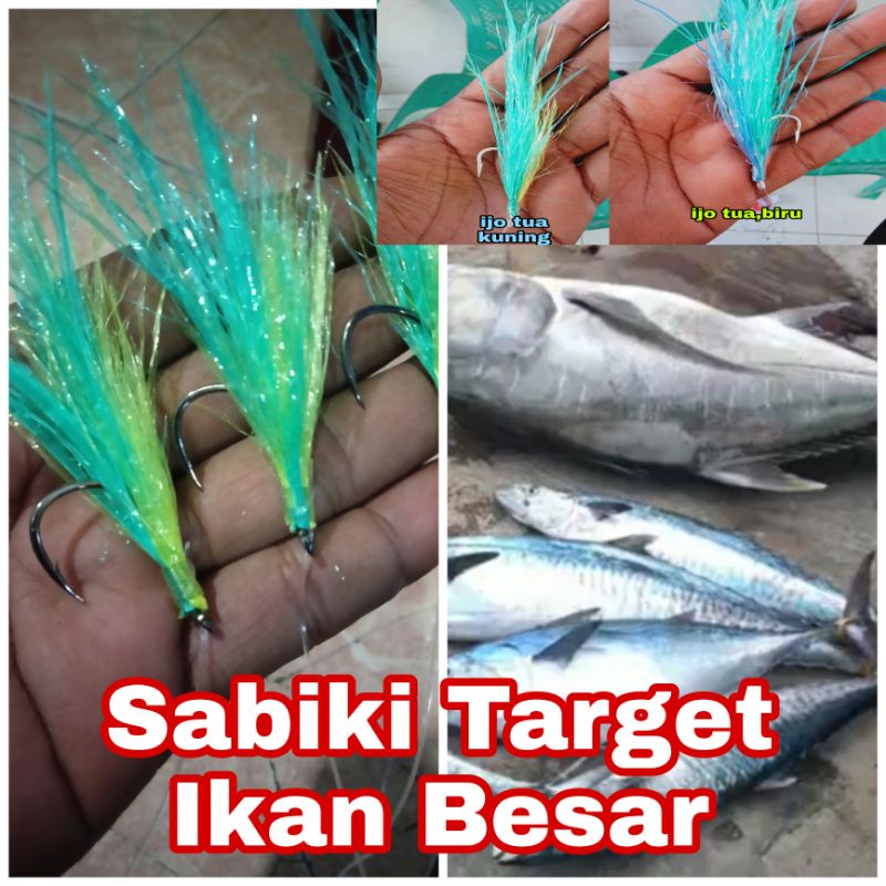 Pancing Sabiki Target Ikan Besar