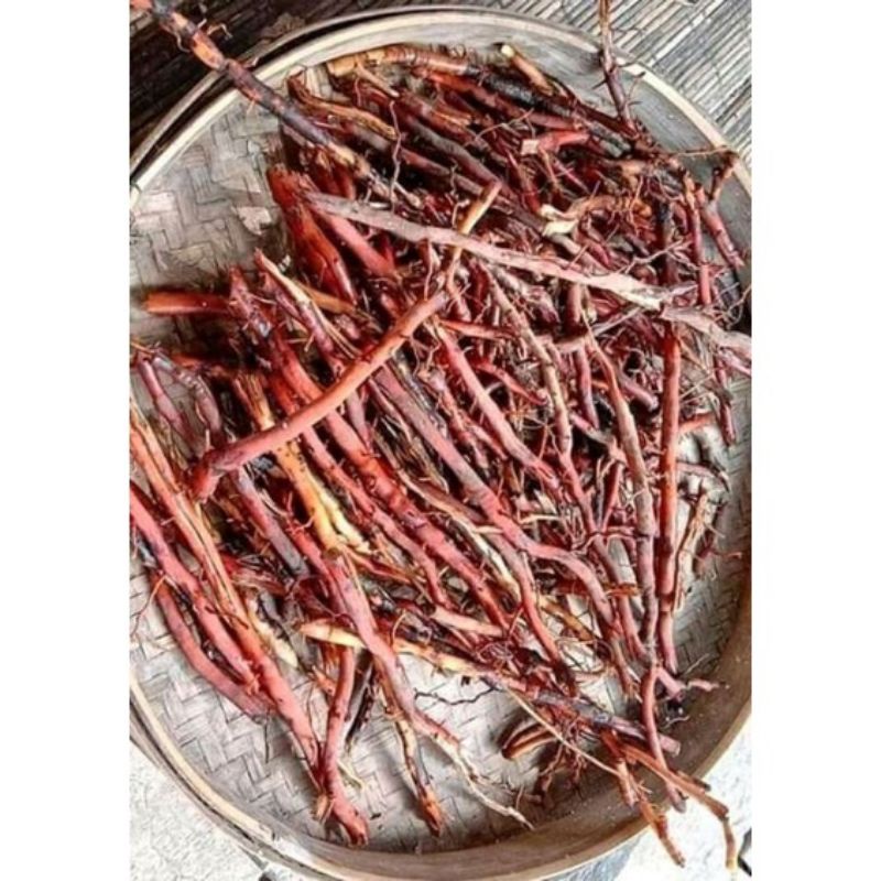 akar pohon kelapa 1kg