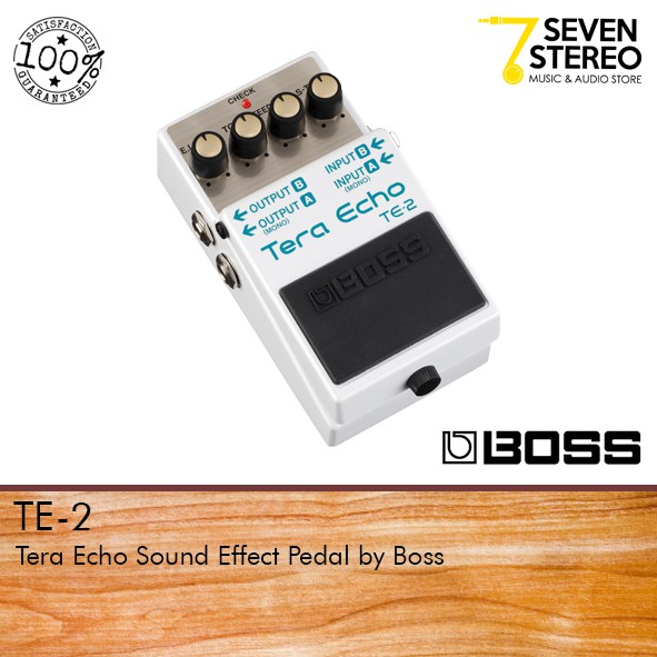 Boss Tera Echo TE-2 TE2 Pedal Effect