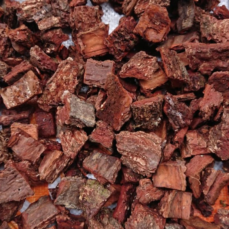 PINE BARK KULIT PINUS CACAH 1Kg MEDIA TANAM ANGGREK KAYU PINUS
