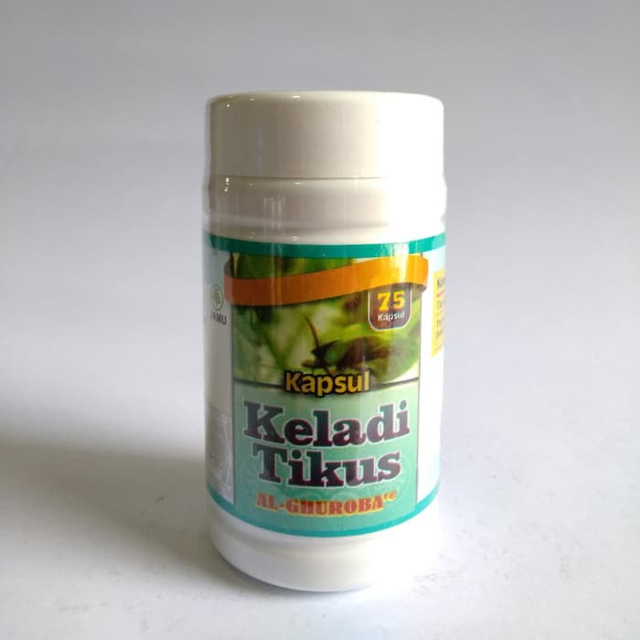 Kapsul Keladi Tikus