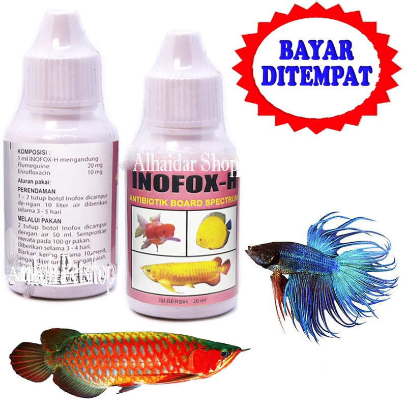 VITAMIN IKAN CUPANG HIAS ANTIBIOTIK IKAN HIAS GURAME MAS KOKI ARWANA INOFOX H