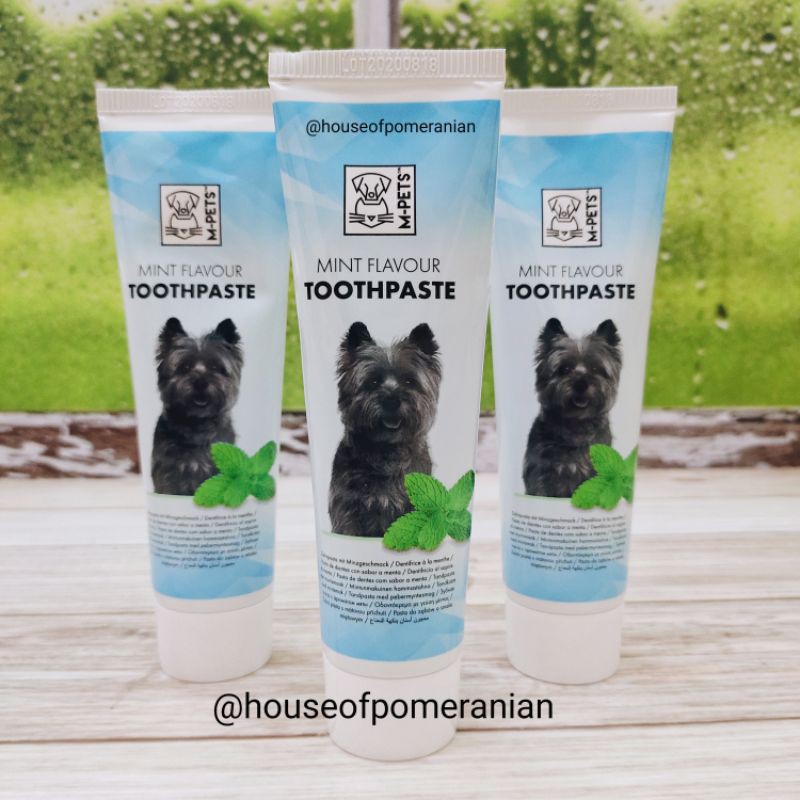 pasta gigi anjing mpets toothpaste 100gr odol dog cat dental