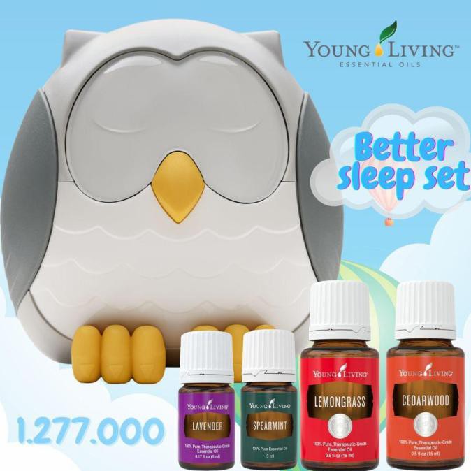 Owl Difuser Better Sleep Set Young Living Essential Oil Yl Ylo Yleo Benaryos