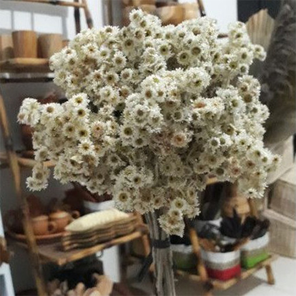 WOODEN DECOR - DEKORASI - BUNGA DANDELION KRISAN PALSU - BUNGA EDELWEIS - PAJANGAN BUNGA ARTIFICIA-6