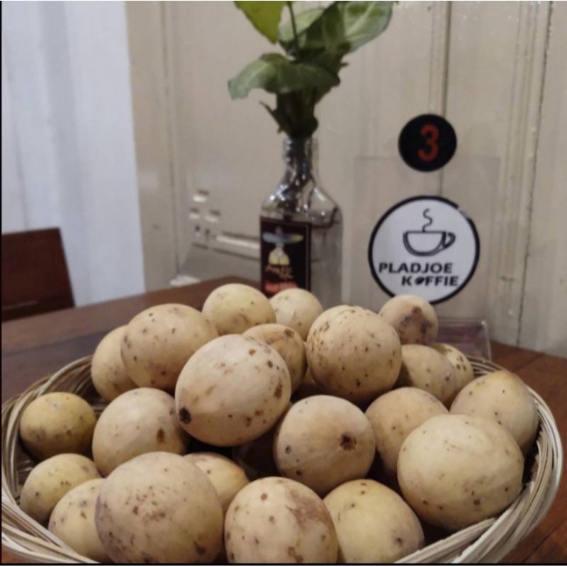 BUAH DUKU SUPER MANIS DAN SEGAR 1KG
