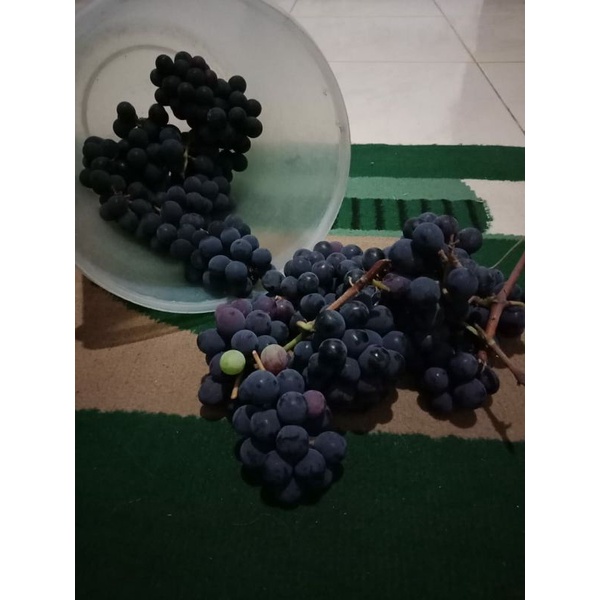 

Buah untuk sarapan